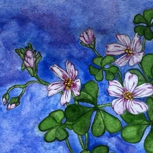 “Wood Sorrel” Watercolor Notecard